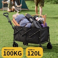 新品　キャリーワゴンの画像