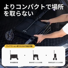 新品　キャリーワゴンの画像