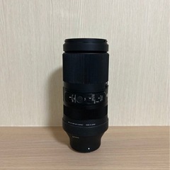 シグマ SIGMA 100-400mm  の画像