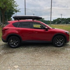 【ノルン水上ナイター相乗り募集！】の画像