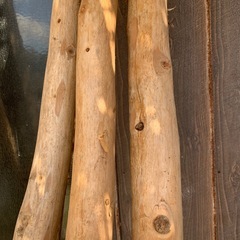 木　　はしらの画像