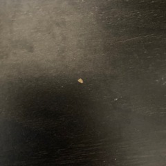 [12/22まで]Sunon　電動昇降デスクの画像