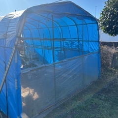 ビニールハウスの画像