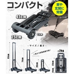 L.Y.F LAB 折りたたみキャリーカートの画像