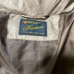 フリーサイズ　ダウンの画像