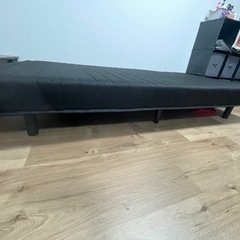 パイプベットの画像