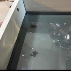 ローテーブルジャンク品です。直せる方の画像