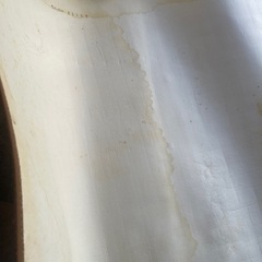 木目調フロアマットの画像