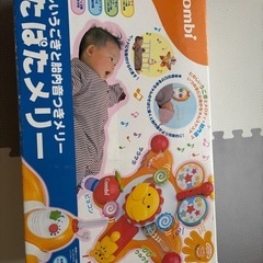 コンビ ぱたぱたメリーの画像