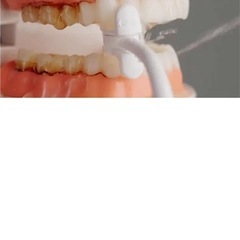 未使用　オーラルスマイルの画像