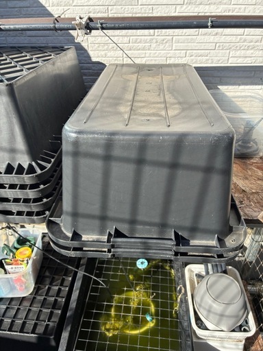 メダカ飼育容器 (tuuuka) 本吉原のその他の中古あげます・譲ります