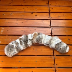 マフラーの画像