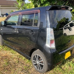 スティングレーの画像