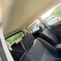 スティングレーの画像