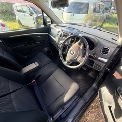 スティングレーの画像