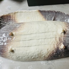 【価格交渉可】手作り お刺身皿 魚皿 陶器 和皿 2枚セットの画像