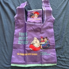 ディズニー 
アドベンチャーランド・バザール限定  バッグの画像
