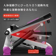新品　フィットネスバイク 家庭用スピンバイク ルームバイク エアロバイク ステッパー 静音 ダイエット 有酸素運動 筋力トレーニングの画像