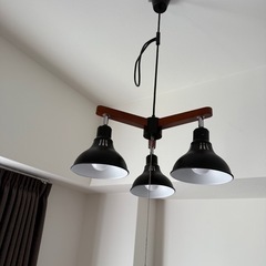 タキズミのインテリア照明の画像