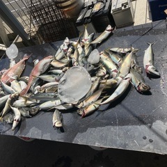 釣り友募集！！！！