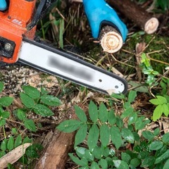 今日来てほしい方へ｜草刈り・伐採・掃除・引っ越し｜奈良 - 桜井市