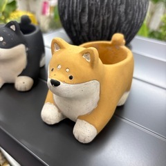 植木鉢 犬 柴犬 ポット 多肉植物の画像