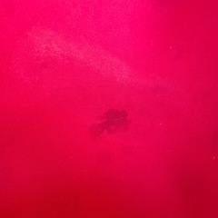 ボディメイクシートスタイル★赤の画像