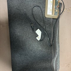 日立　ホットカーペット　3畳の画像