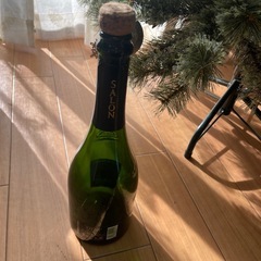 SALON ビンの画像