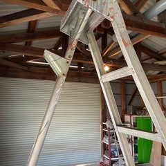 【期間限定】梯子、はしご、2.3mの画像
