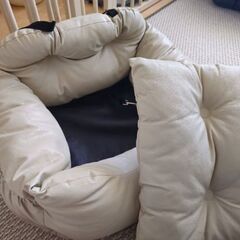 ドライブベッド　Radicaの画像