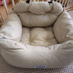 ドライブベッド　Radicaの画像