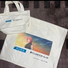 果てしなきスカーレット ブランケット付きバッグの画像