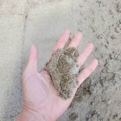 川砂（1t ～ 100t）※洗砂ではありませんの画像