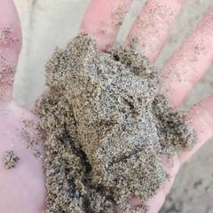 川砂（1t ～ 100t）※洗砂ではありませんの画像