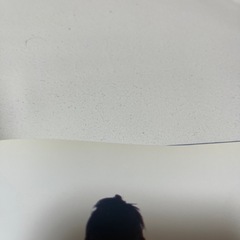 長澤まさみ 写真集 そら 今村敏彦 共同印刷株式会社の画像