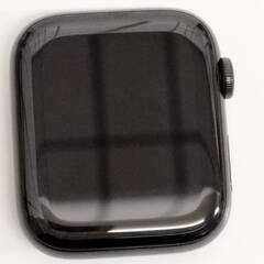 Apple Watch Series 5/GPS+セルラー/44mm/A2157/ステンレス〈MWWK2J/A〉 (1)の画像