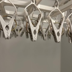 洗濯ピンチハンガーの画像