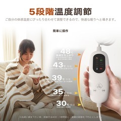 新品　電気毛布 掛け敷き 140×80 ブランケット ストライプ シングル ひざ掛け ダニ退治 速暖の画像