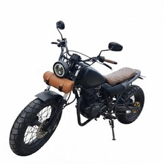 TW200  ロンスイ、スカチューン、スパトラの画像