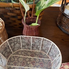 籐籠　全部の画像