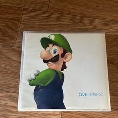 DSソフト入れの画像