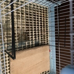 小型ケージの画像