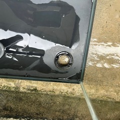 ニッソー　L水槽の画像