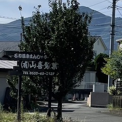 青首大根の画像