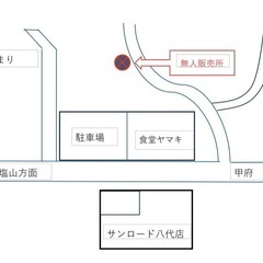 青首大根の画像