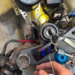 YAMAHA TZR50R 4EU てんとう虫れレーシングの画像