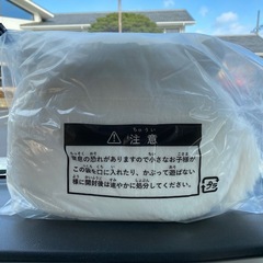 【商談中】ちいかわ　エニマイくじ　D賞　あのこ　クッションの画像