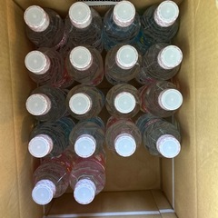 サンリオ 飲料水 18本セットの画像