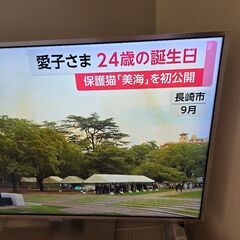45型テレビの画像